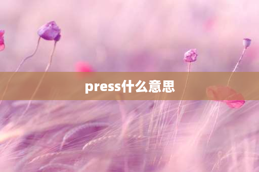 press什么意思 press和compel的区别？