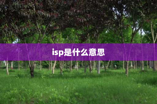 isp是什么意思 isp芯片是什么意思？