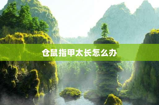 仓鼠指甲太长怎么办 放磨砂纸给仓鼠自己磨指甲可以吗？