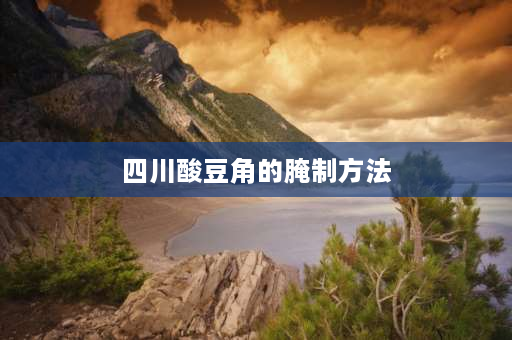 四川酸豆角的腌制方法 四川腌豆角的腌制方法？