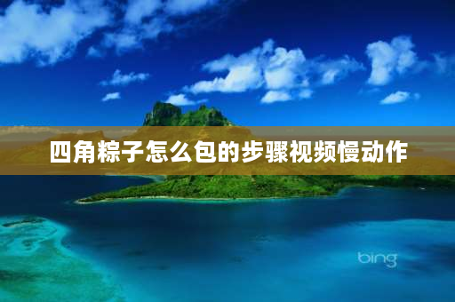 四角粽子怎么包的步骤视频慢动作 肉粽子的做法和配料？