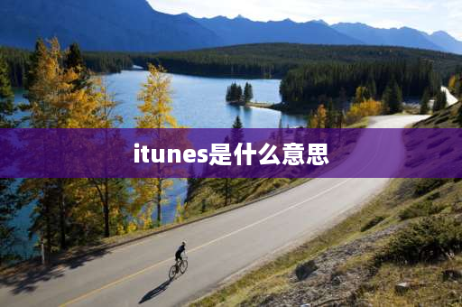 itunes是什么意思 ITUNES是什么意思？