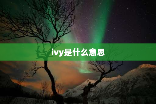 ivy是什么意思 ivy有没有特别的含义？