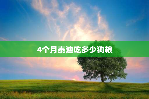 4个月泰迪吃多少狗粮 4个月泰迪狗可以吃成犬狗粮？