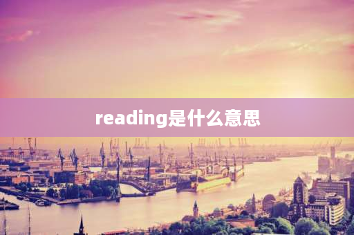 reading是什么意思 she  likes  reading 为什么要写ing形式？