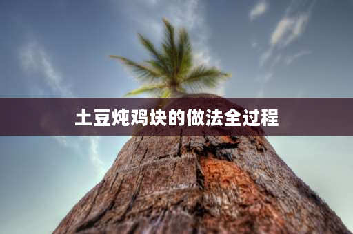 土豆炖鸡块的做法全过程 鸡肉炖土豆的家常做法是怎样的？