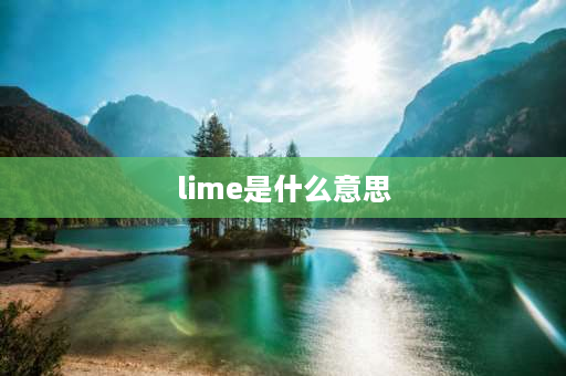 lime是什么意思 Lime是什么意思？