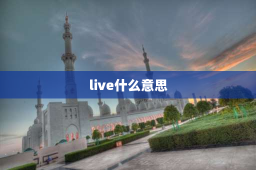 live什么意思 LiVe是什么意思？