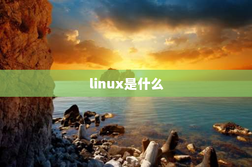 linux是什么 LINUX系统是什么？