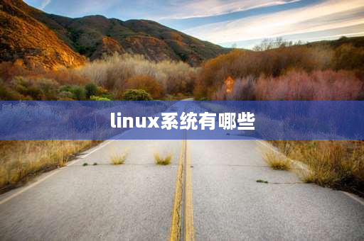 linux系统有哪些 linux十大最佳系统？