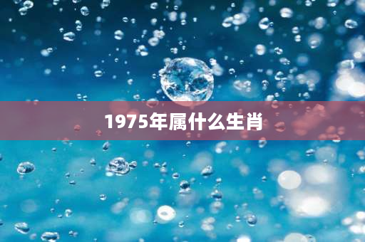 1975年属什么生肖 1974年属牛吗？