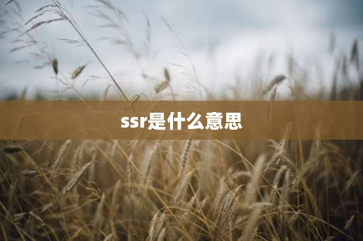 ssr是什么意思 抽ssr是什么意思？