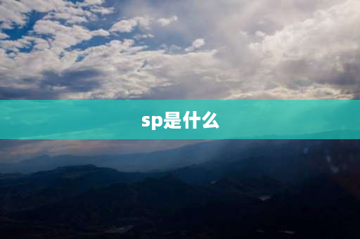 sp是什么 sp是什么意思？