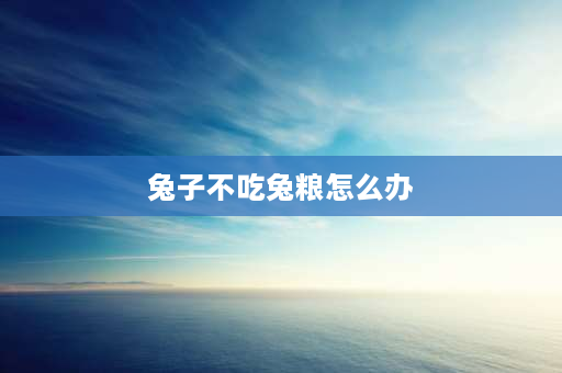 兔子不吃兔粮怎么办 兔子不吃兔粮还能吃什么？