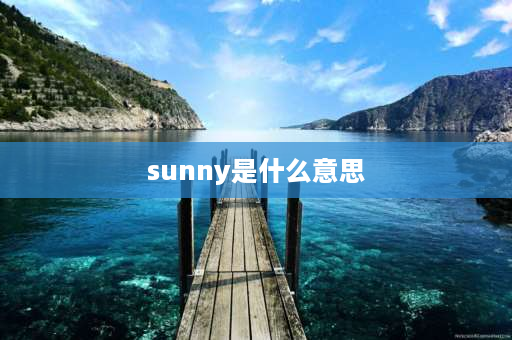 sunny是什么意思 sunshine中文意思？