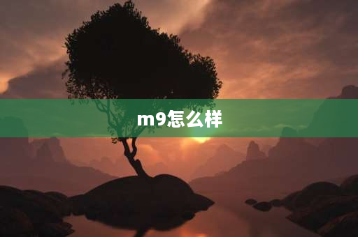 m9怎么样 华为问界m9安全系数怎么样？