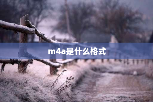 m4a是什么格式 m4a是什么格式？