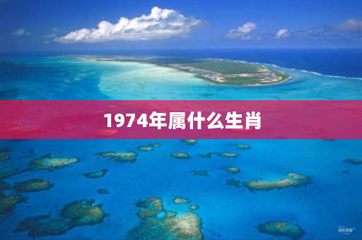 1974年属什么生肖 74年出生的属相是什么？