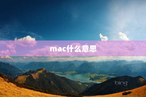 mac什么意思 MAC是指？