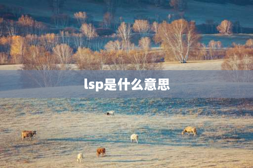 lsp是什么意思 LSP是什么意思？