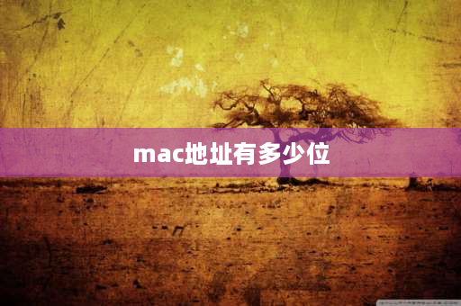 mac地址有多少位 一台服务器有几个mac地址？