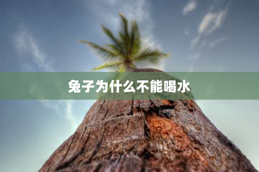 兔子为什么不能喝水 兔子为什么不能喝水科学解释？