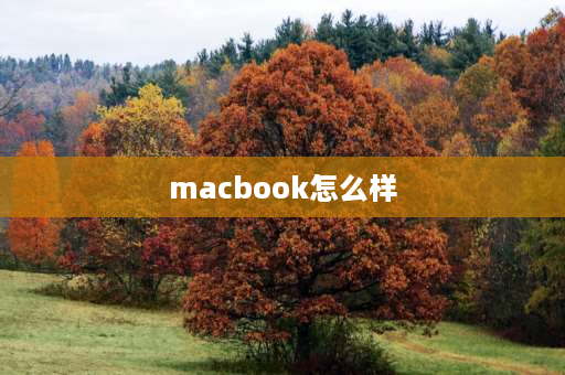 macbook怎么样 macbook打游戏怎样？