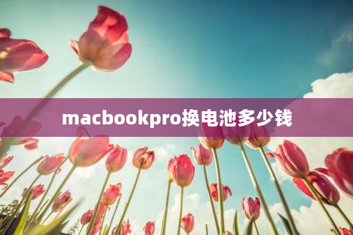 macbookpro换电池多少钱 macbookpro一般电池循环多少要换？