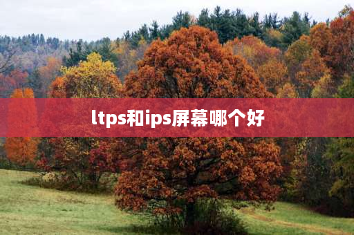 ltps和ips屏幕哪个好 手机屏幕ips和ltps哪种好？