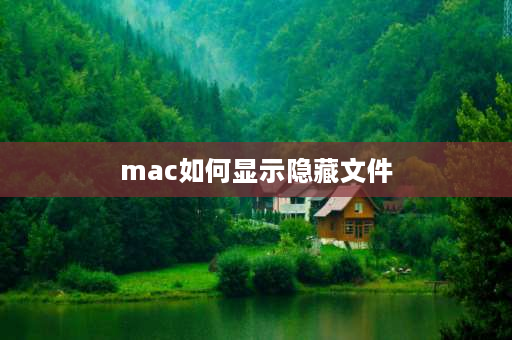 mac如何显示隐藏文件 macbook 隐藏文件夹怎么出现了？