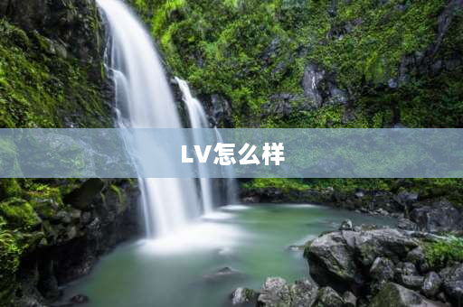 LV怎么样 lv正式员工待遇？