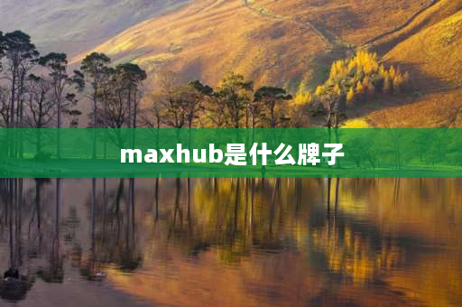 maxhub是什么牌子 maxhub什么品牌？