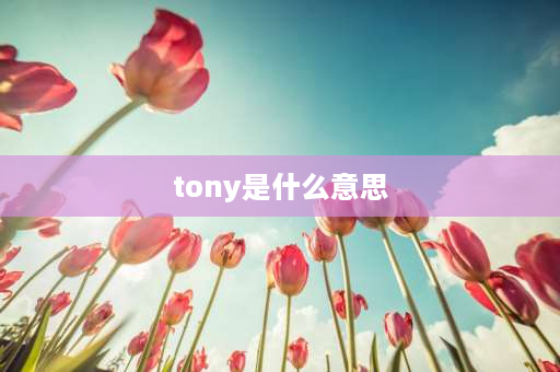 tony是什么意思 tony是姓还是名？