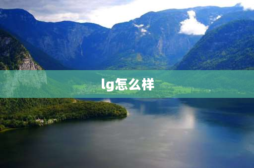 lg怎么样 lg电器质量怎么样？