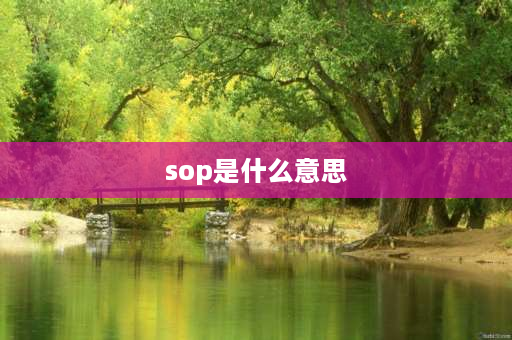 sop是什么意思 sop是什么意思？