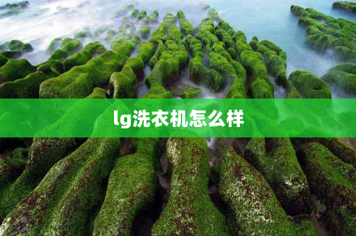 lg洗衣机怎么样 lg洗烘一体机优缺点？