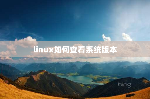 linux如何查看系统版本 怎么看自己linux的系统版本？