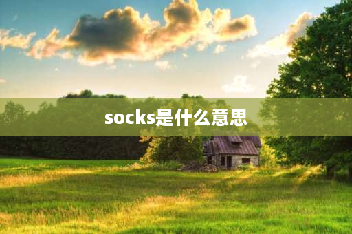 socks是什么意思 cook和sock的区别？