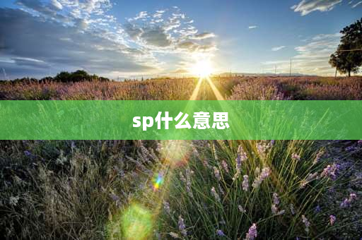 sp什么意思 sp是什么意思？