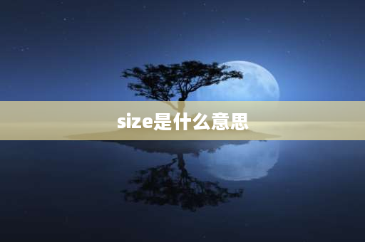 size是什么意思 size是可数名词吗？