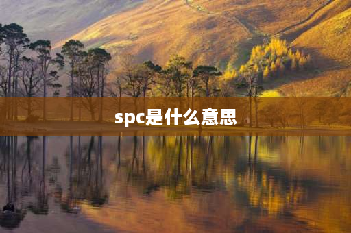 spc是什么意思 SPC是什么含义？