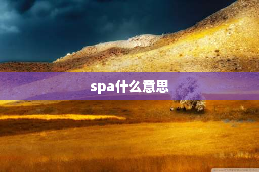 spa什么意思 SPA是什么意思？