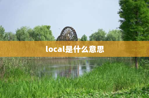 local是什么意思 电脑安装系统中的local是什么意思？