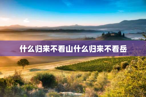 什么归来不看山什么归来不看岳 中国的五岳归来不看山是指的哪五座山？