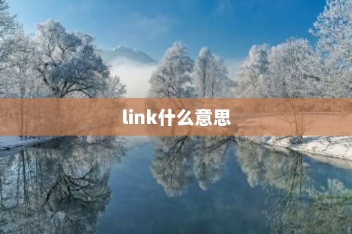 link什么意思 音箱机后面的LINK是什么意思？