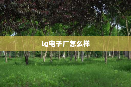 lg电子厂怎么样 lg化学新能源电池有限公司怎么样？