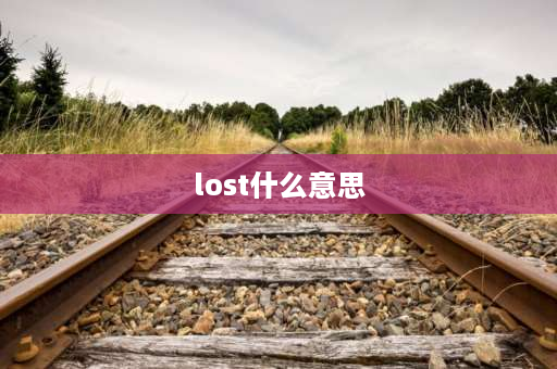 lost什么意思 lost是什么意思及用法？