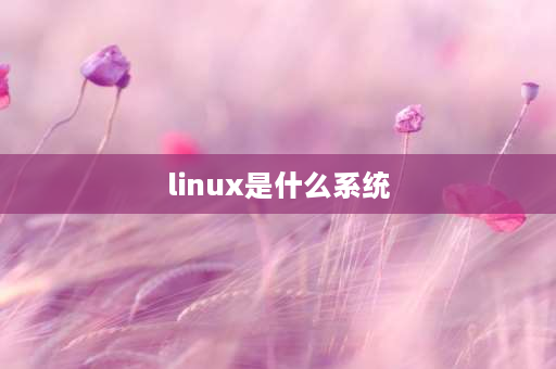 linux是什么系统 linux 是系统软件吗？