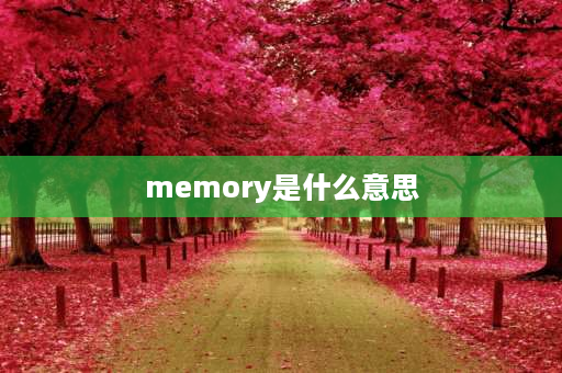 memory是什么意思 memory在电脑上是什么意思？