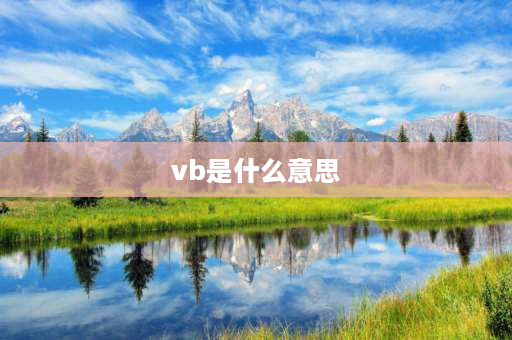 vb是什么意思 VB是什么的缩写？